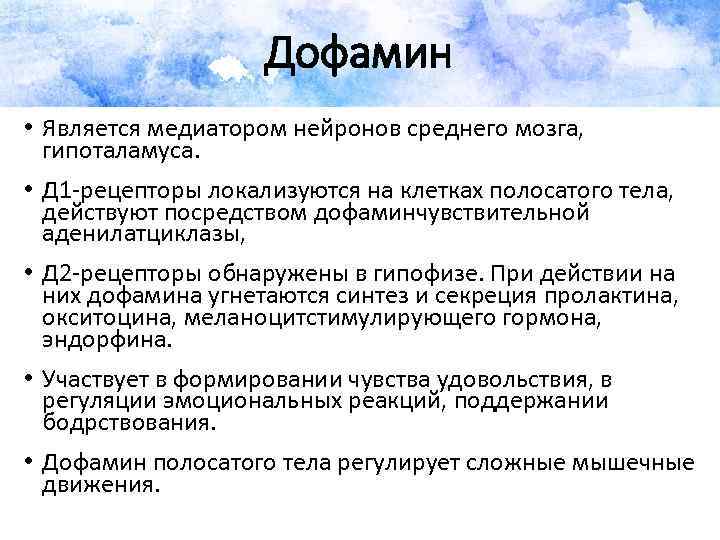 Дофамин • Является медиатором нейронов среднего мозга, гипоталамуса. • Д 1 рецепторы локализуются на