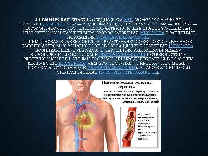 ИШЕМИ ЧЕСКАЯ БОЛЕ НЬ СЕ РДЦА З (ИБС; ЛАТ. MORBUS ISCHAEMICUS CORDIS ОТ ДР.