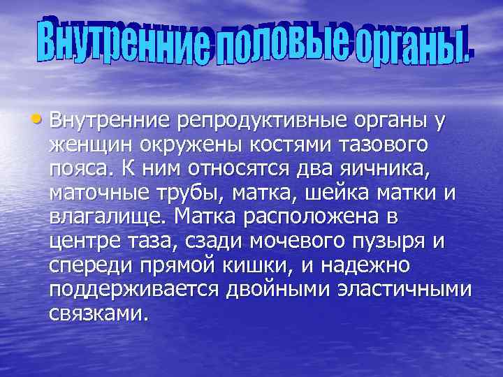  • Внутренние репродуктивные органы у женщин окружены костями тазового пояса. К ним относятся