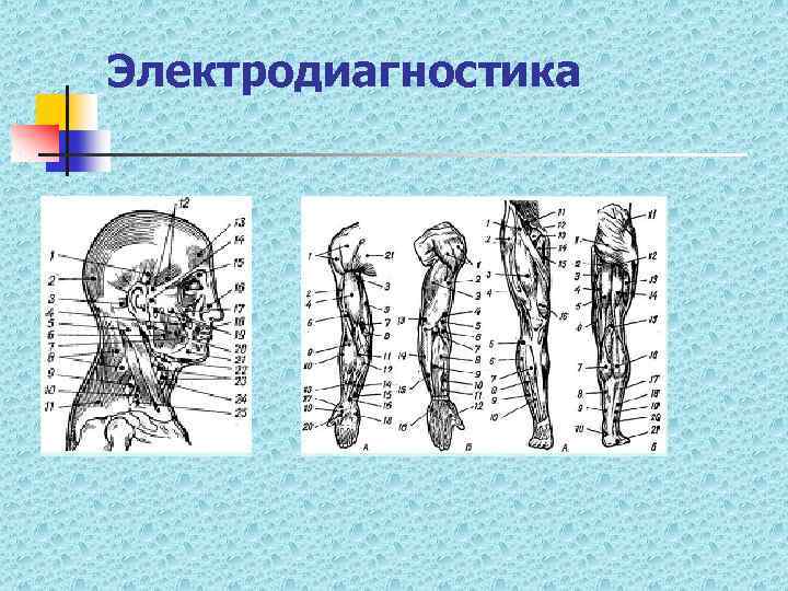 Электродиагностика 