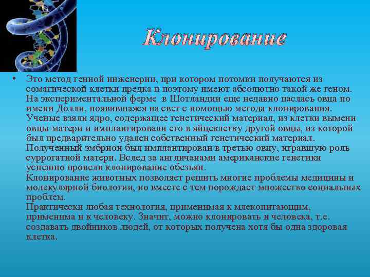 Клонирование • Это метод генной инженерии, при котором потомки получаются из соматической клетки предка