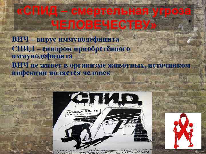  «СПИД – смертельная угроза ЧЕЛОВЕЧЕСТВУ» ВИЧ – вирус иммунодефицита СПИД – синдром приобретённого
