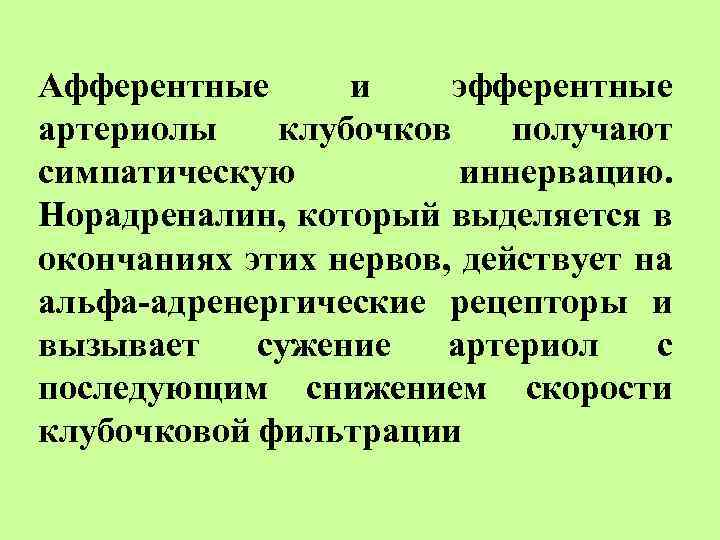 Афферентные и эфферентные артериолы клубочков получают симпатическую иннервацию. Норадреналин, который выделяется в окончаниях этих