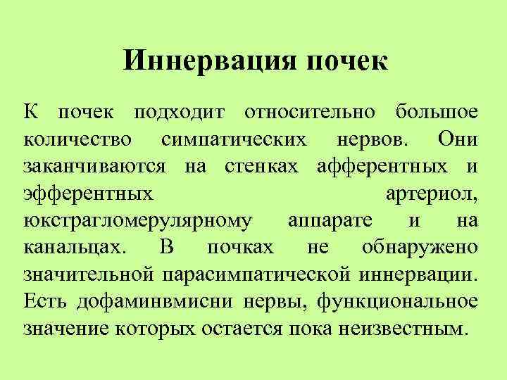 Иннервация почек К почек подходит относительно большое количество симпатических нервов. Они заканчиваются на стенках