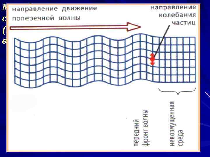 Методы изучения строения Земли (продольные и поперечные волны). 