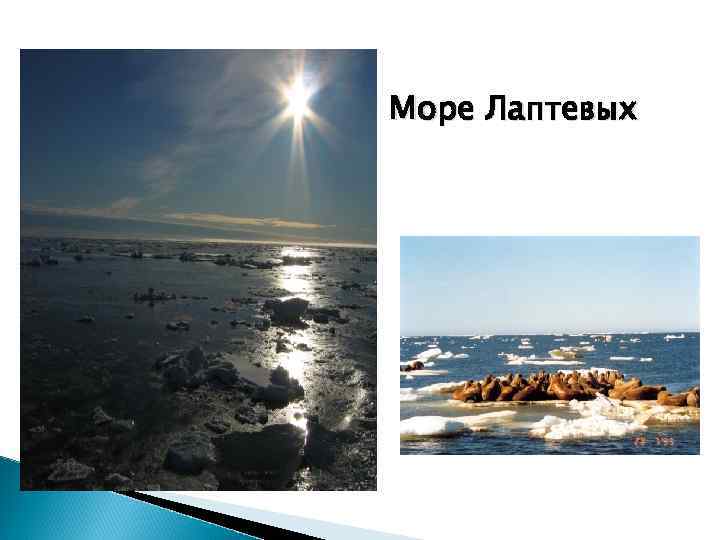 Море Лаптевых 