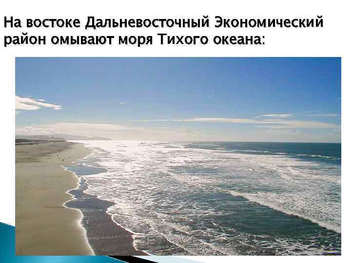 На востоке Дальневосточный Экономический район омывают моря Тихого океана: 