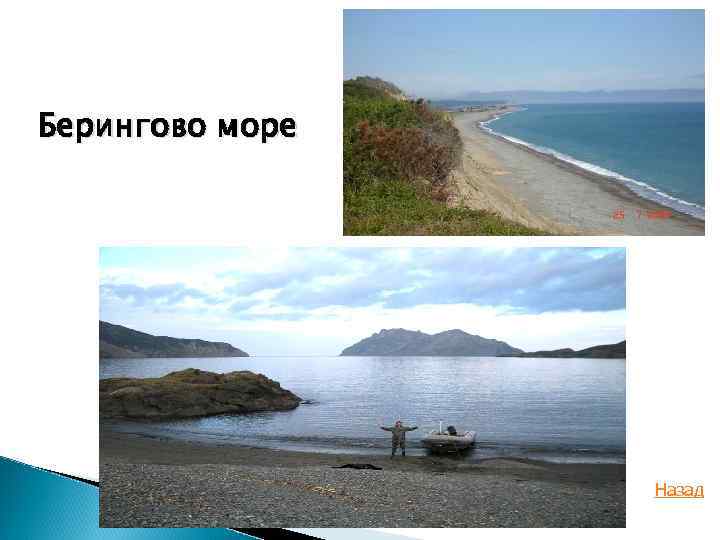 Берингово море Назад 
