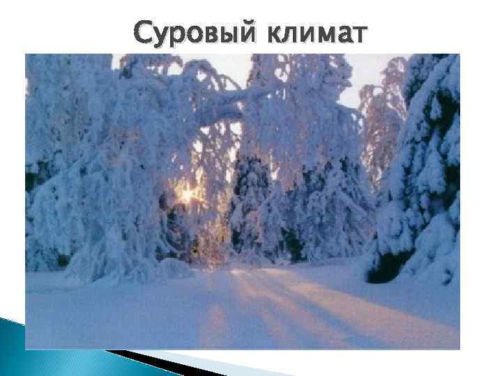 Суровый климат 