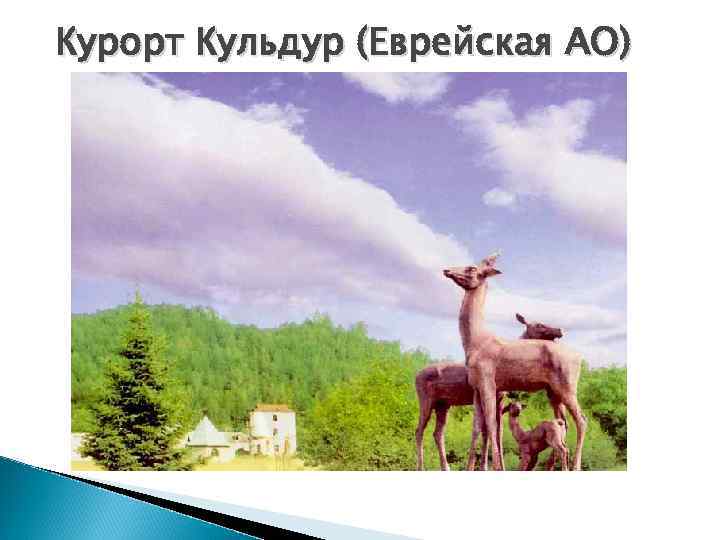 Курорт Кульдур (Еврейская АО) 