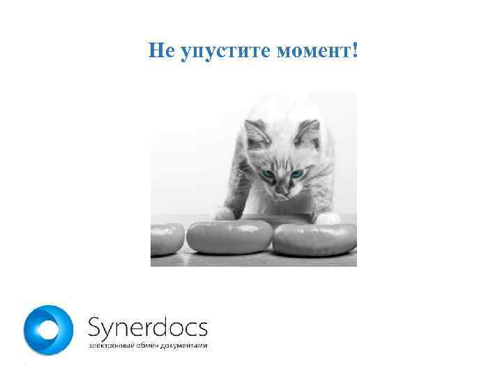 Не упустите момент! 