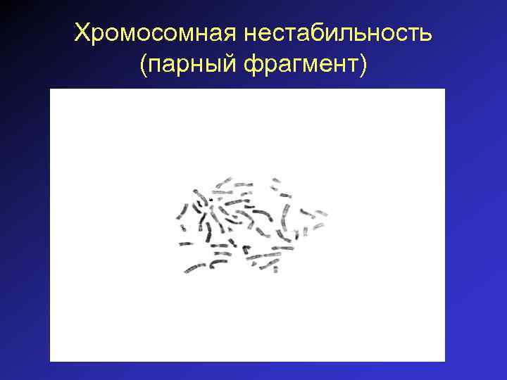 Хромосомная нестабильность (парный фрагмент) 