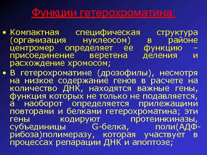 Функции гетерохроматина: • Компактная специфическая структура (организация нуклеосом) в районе центромер определяет ее функцию