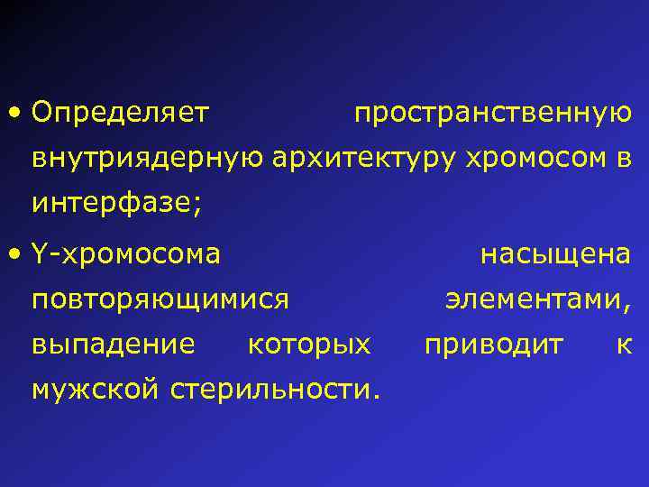  • Определяет пространственную внутриядерную архитектуру хромосом в интерфазе; • Y-хромосома насыщена повторяющимися выпадение