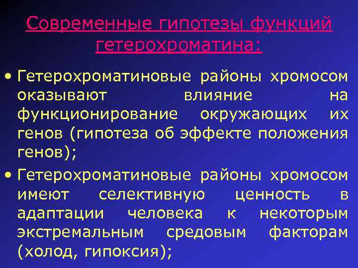 Современные гипотезы функций гетерохроматина: • Гетерохроматиновые районы хромосом оказывают влияние на функционирование окружающих их
