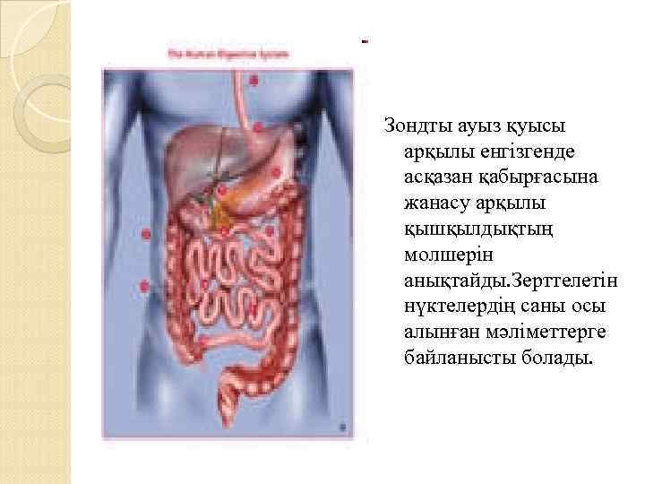 Зондты ауыз қуысы арқылы енгізгенде асқазан қабырғасына жанасу арқылы қышқылдықтың молшерін анықтайды. Зерттелетін нүктелердің