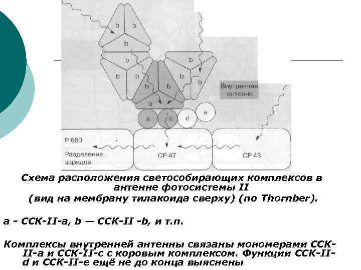 Схема сск онлайн