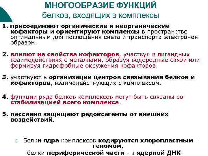 МНОГООБРАЗИЕ ФУНКЦИЙ белков, входящих в комплексы 1. присоединяют органические и неорганические кофакторы и ориентируют