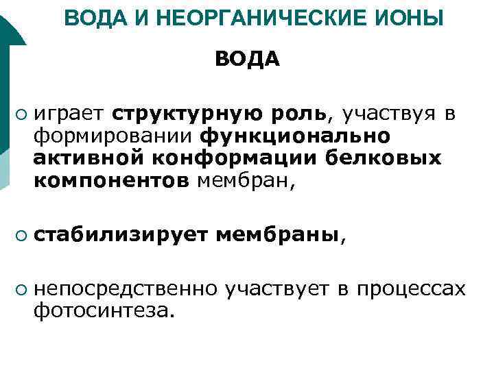 ВОДА И НЕОРГАНИЧЕСКИЕ ИОНЫ ВОДА ¡ ¡ ¡ играет структурную роль, участвуя в формировании