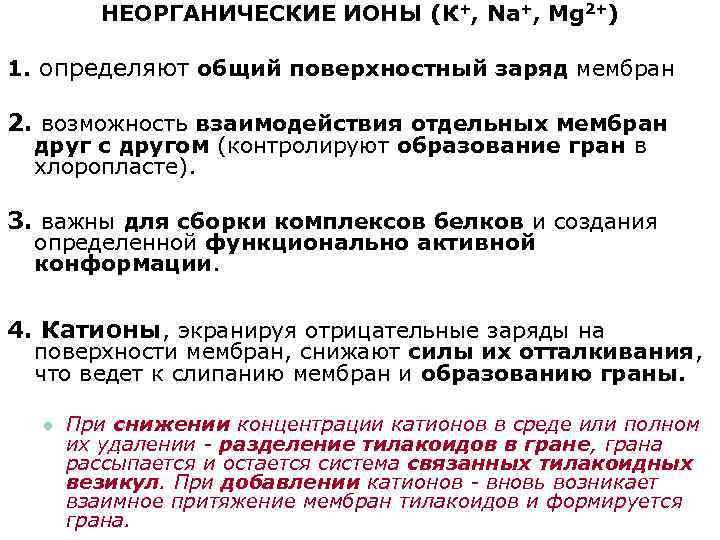 НЕОРГАНИЧЕСКИЕ ИОНЫ (К+, Na+, Mg 2+) 1. определяют общий поверхностный заряд мембран 2. возможность