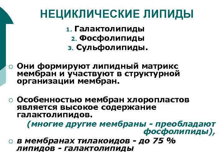 НЕЦИКЛИЧЕСКИЕ ЛИПИДЫ Галактолипиды 2. Фосфолипиды 3. Сульфолипиды. 1. ¡ Они формируют липидный матрикс мембран