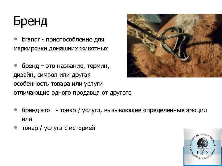 Бренд • brandr приспособление для маркировки домашних животных • бренд – это название, термин,