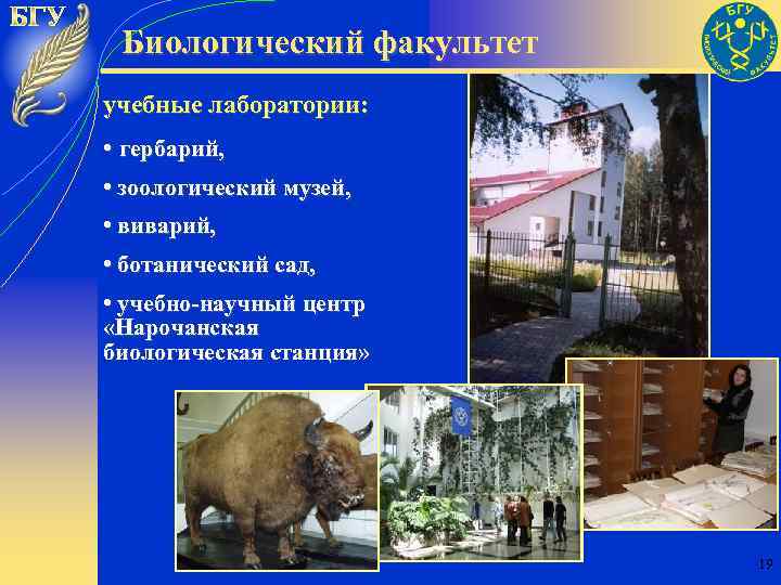 Биологический факультет учебные лаборатории: • гербарий, • зоологический музей, • виварий, • ботанический сад,