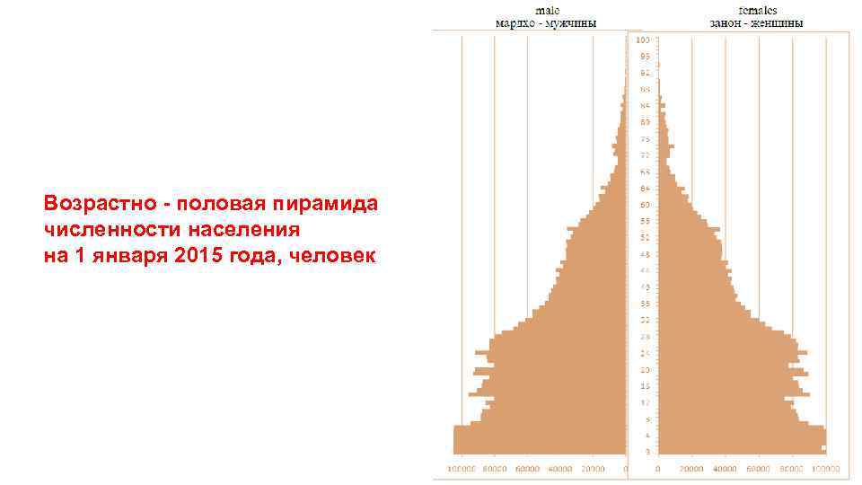 Возрастно - половая пирамида численности населения на 1 января 2015 года, человек 