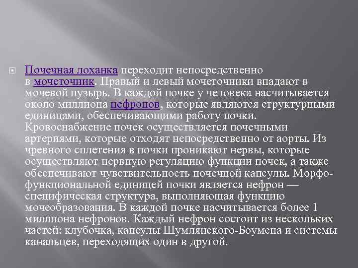  Почечная лоханка переходит непосредственно в мочеточник. Правый и левый мочеточники впадают в мочевой