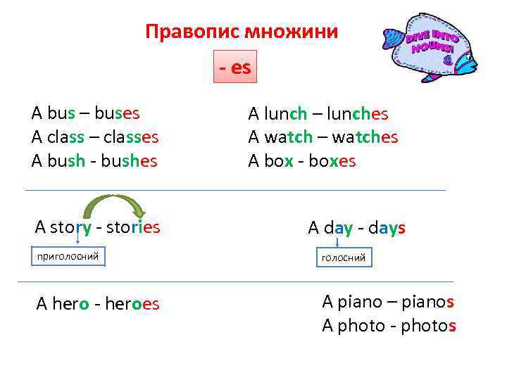 Правопис множини - es A bus – buses A class – classes A bush