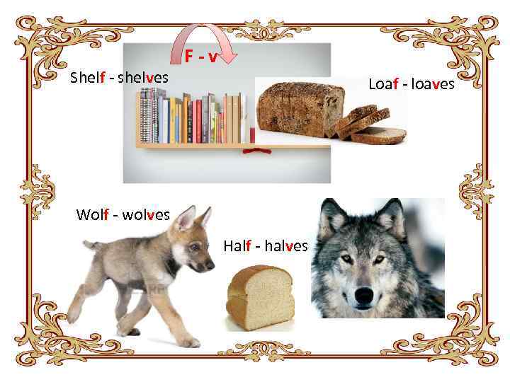 Shelf - shelves F-v Loaf - loaves Wolf - wolves Half - halves 