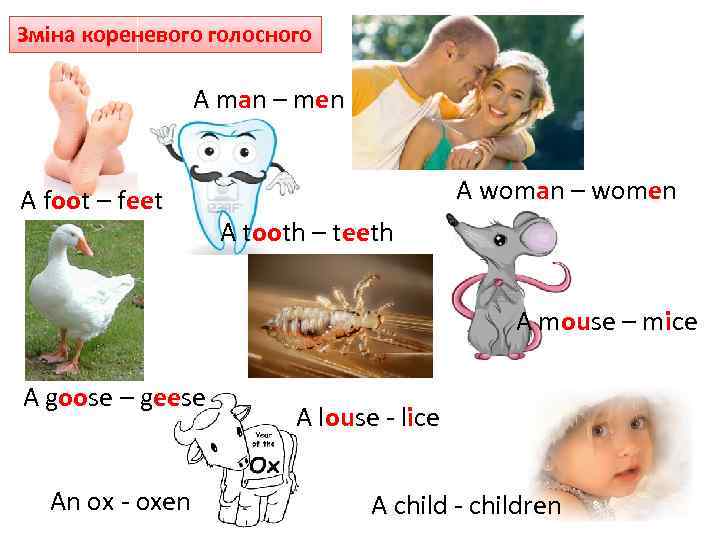Зміна кореневого голосного A man – men A foot – feet A woman –