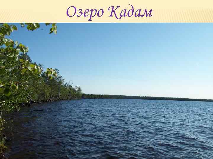 Озеро кулам. Озеро Донты Республика Коми. Озеро кадам Усть-Куломский. Озеро кадам Республика Коми.