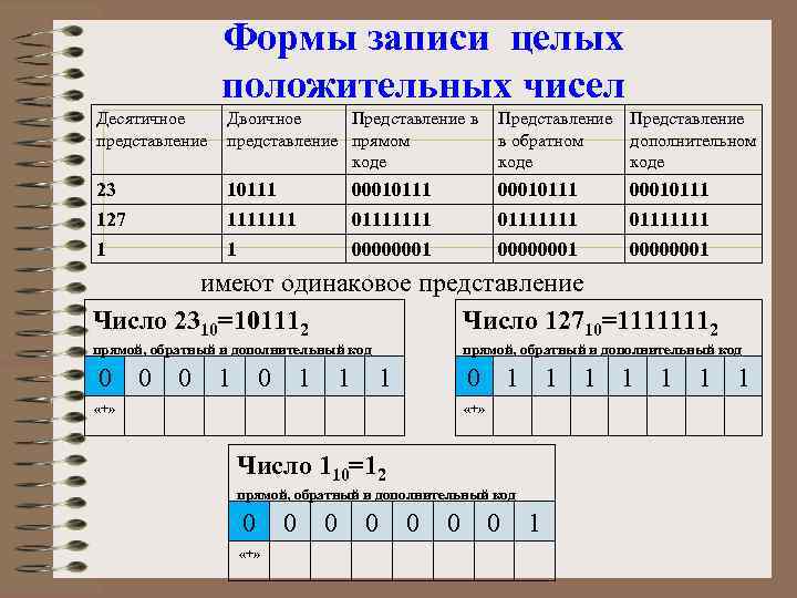 Формы записи целых положительных чисел Десятичное представление Двоичное Представление в представление прямом коде Представление