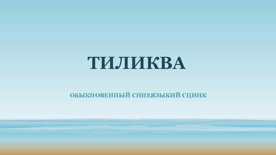 ТИЛИКВА ОБЫКНОВЕННЫЙ СИНЕЯЗЫКИЙ СЦИНК 