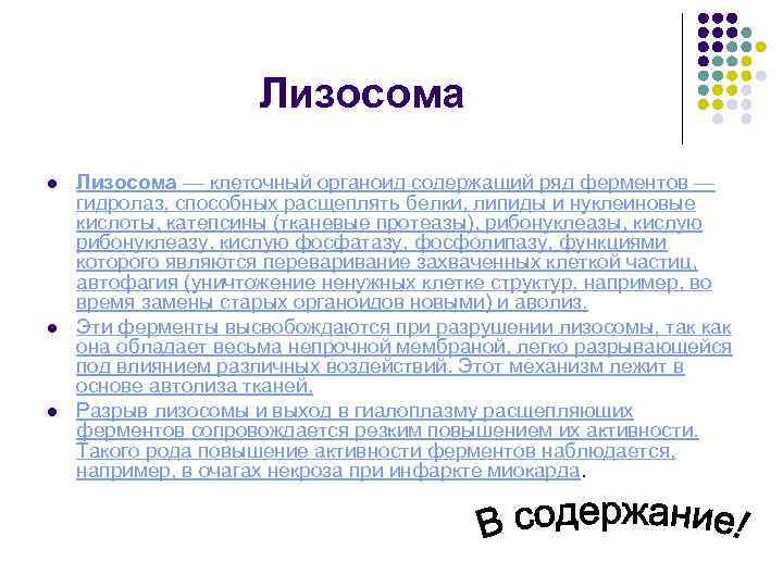 Лизосома l l l Лизосома — клеточный органоид содержащий ряд ферментов — гидролаз, способных