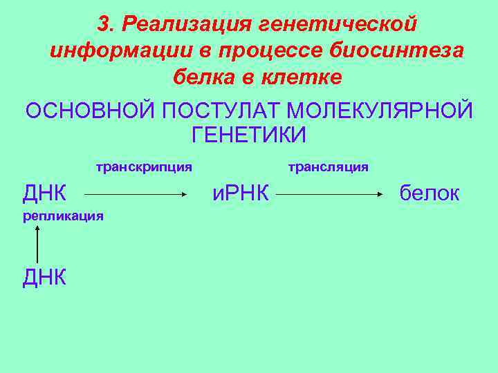 3. Реализация генетической информации в процессе биосинтеза белка в клетке ОСНОВНОЙ ПОСТУЛАТ МОЛЕКУЛЯРНОЙ ГЕНЕТИКИ