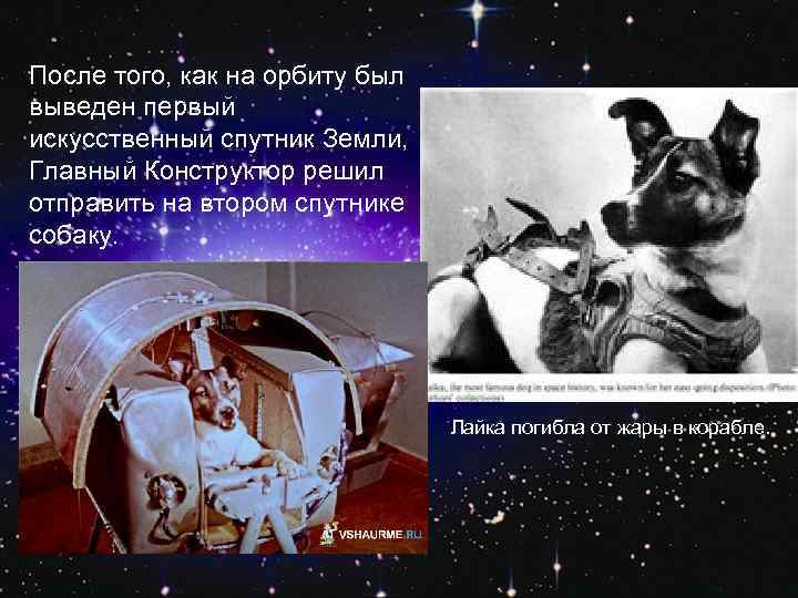 После того, как на орбиту был выведен первый искусственный спутник Земли, Главный Конструктор решил