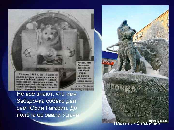 Не все знают, что имя Звёздочка собаке дал сам Юрий Гагарин. До полёта её
