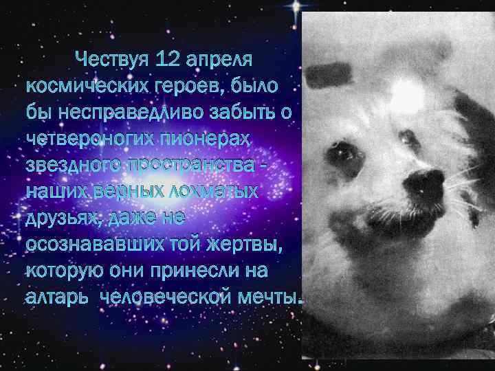 Чествуя 12 апреля космических героев, было бы несправедливо забыть о четвероногих пионерах звездного пространства