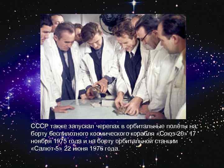 СССР также запускал черепах в орбитальные полёты на борту беспилотного космического корабля «Союз-20» 17
