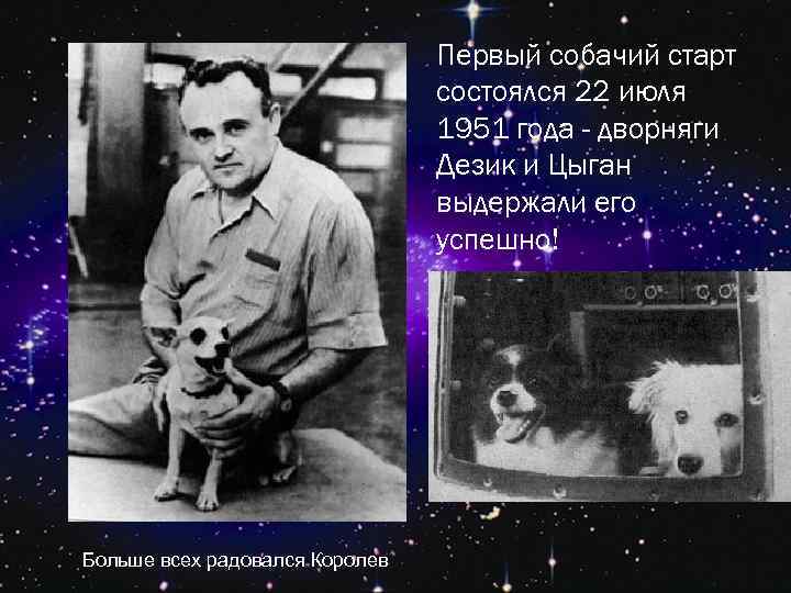 Первый собачий старт состоялся 22 июля 1951 года - дворняги Дезик и Цыган выдержали