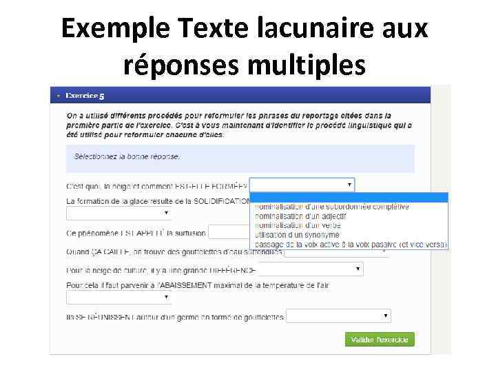 Exemple Texte lacunaire aux réponses multiples 