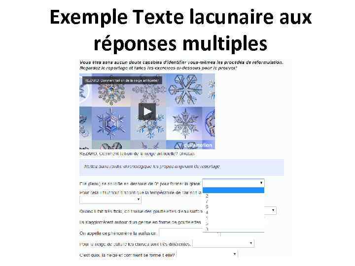 Exemple Texte lacunaire aux réponses multiples 