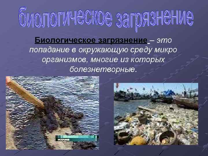 Биологическое загрязнение – это попадание в окружающую среду микро организмов, многие из которых болезнетворные.
