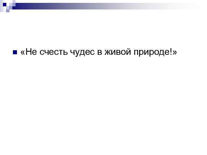 n «Не счесть чудес в живой природе!» 