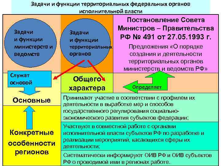 Задачи и функции территориальных федеральных органов исполнительной власти Задачи и функции министерств и ведомств