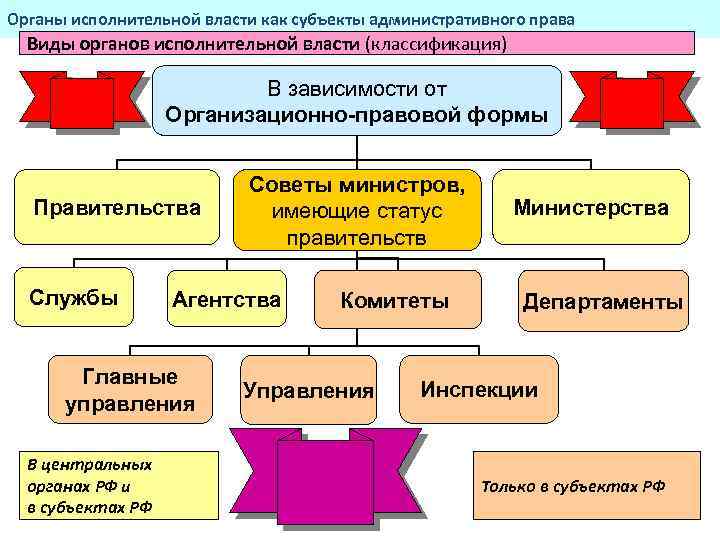 Исполнительные органы в сфере