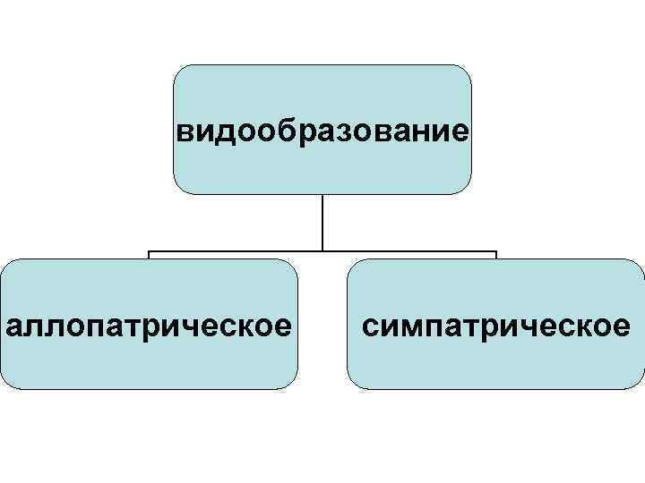 видообразование аллопатрическое симпатрическое 