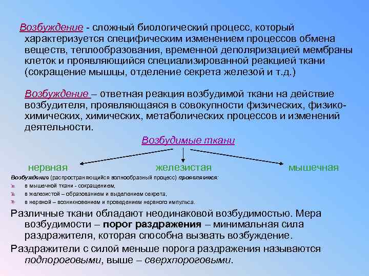 Презентация на тему физиология возбудимых тканей